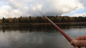 Рыбалка на ХАРИУСА в сентябре . Ловля хариуса на удочку в  проводку .