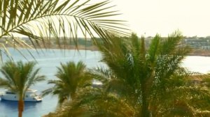 Dessole Royal Rojana Resort 5* (Египет \ Шарм Эль Шейх)