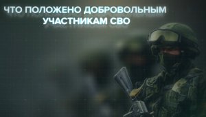 Статус ветерана боевых действий распространяется и на добровольцев СВО