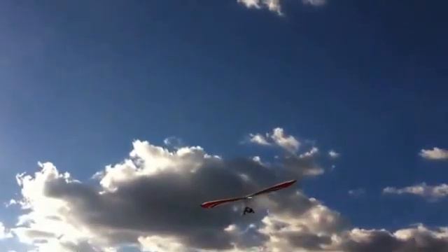 Seedwings Space 14 смотреть онлайн