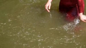 wetlook petra4wet