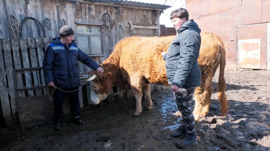 Погода в краснооктябрьском большечерниговском районе самарской