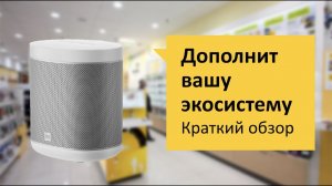 Xiaomi Mi Smart Speaker Обзор и отзыв от НОУ-ХАУ..mp4