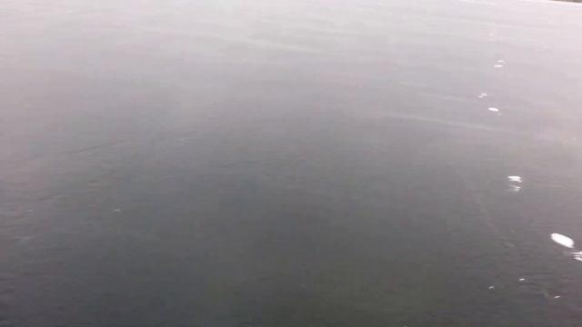 мухтар ирбис с лыжным модулем! смотреть онлайн