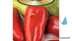 Перец сладкий Линда ? сладкий перец Линда обзор: как сажать, семена перца Линда