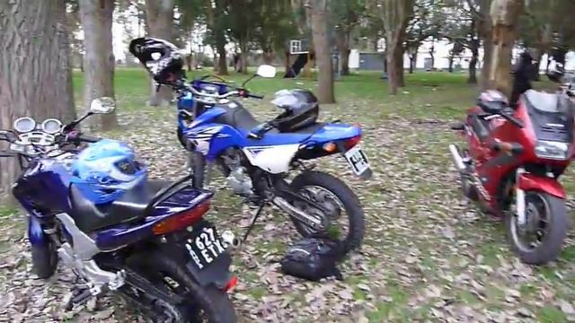 En el Sambo 30-07-11 смотреть онлайн