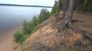 Обзор отличного места для отдыха в сосновом бору на озере Вселуг.