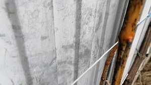 Когда обрезать виноград? Весной или осенью?