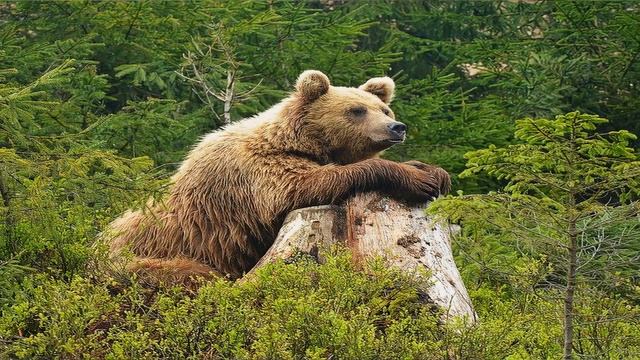 какой сегодня праздник? \ 13 декабря \ праздник каждый день \ праздник к нам приходит \ есть повод смотреть онлайн