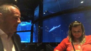 The Land of Legends Nemo Restaurant Antalya (01.05.2019)