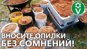 ДАЖЕ ТОНКИЙ СЛОЙ ОПИЛОК УЛУЧШАЕТ ПОЧВУ! Растениям понравится – убедитесь сами!