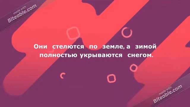 Тундра смотреть онлайн