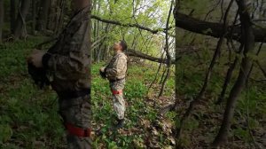 Установка улья на дерево (бортничество) 10 мая 2021 г.