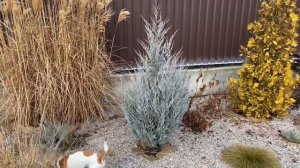 Ландшафтный дизайн своими руками: где разместить, что сажать, какой уход