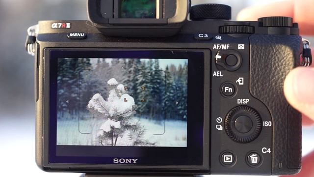 Фазовый автофокус с переходником Metabones EF-E Mark III на Sony ILCE-7RM2 смотреть онлайн