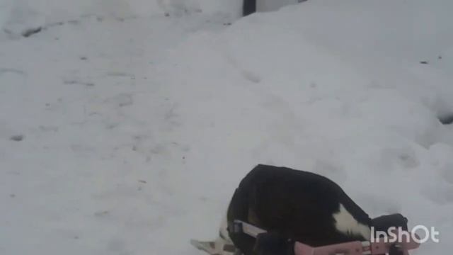 Кайла покажет! Интересные места