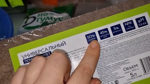 Эустома - когда и как пикировать рассаду