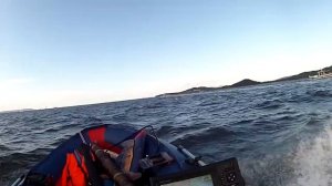 Fortis 450+Suzuki DF25 V Twin