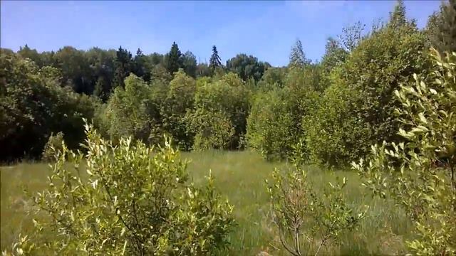 Однодневный субботний коп. Новое место. смотреть онлайн