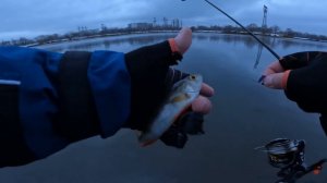 Зимний Спиннинг ! Окунь на Микроджиг ! Рыбалка 2022 ! После сброса воды !