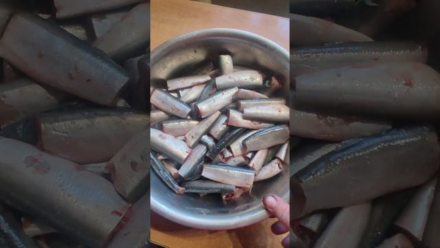 Шпроты без заморочек, в автоклаве на пару смотреть онлайн