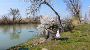 Рыбная ловля в реке Кубань на "Солнечном Острове".  Видео о местах рыбалки и отдыха горожан.