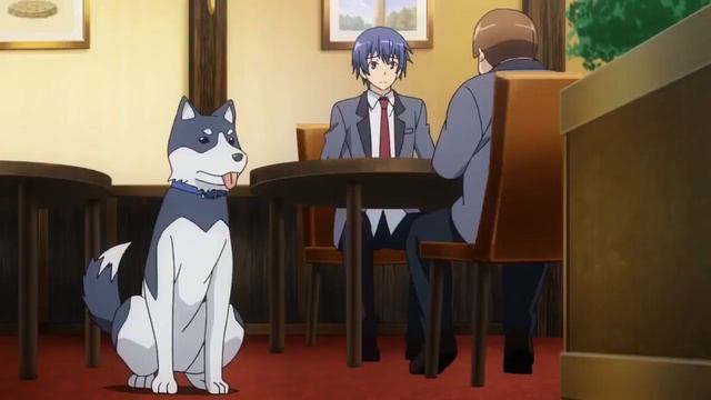 Аниме МАРАФОН Личный Гарем