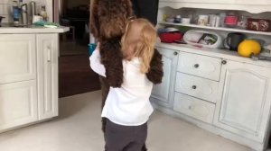 Mascha und der Bär Pudel Mischka tanzen poodle bear королевский пудель