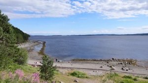 Кольский полуостров, рыбалка на горбушу. Заполярье в разгар лета 2021. Япония на берегу Белого моря