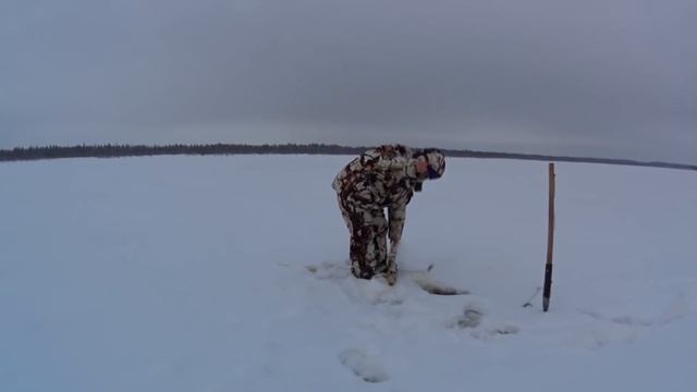 Рыбалка / Светлана ловит налима / Река Печора