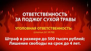 ПАЛ сухой травы - ПРЕСТУПЛЕНИЕ