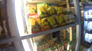 Питер. Птичий рынок.