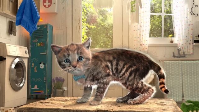 MY LITTLE KITTEN ADVENTURE - THE STORY OF A LITTLE CAT AND ANIMALS - CARTOON FAIRY TALE смотреть онлайн