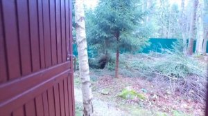 Купил дом за 5млн. в Ленинградской области. Обзор.