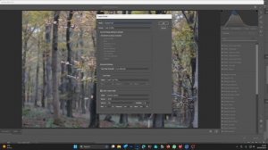 Using CUBE LUTs in Lightroom