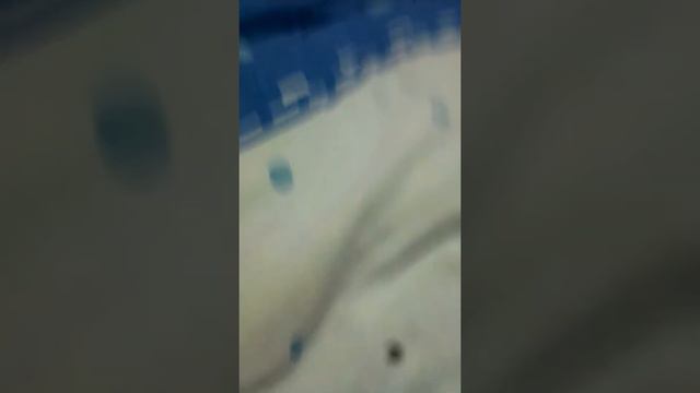 История спрингстрапа смотреть онлайн