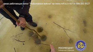 Лещи гиганты не лезли в лунки Хапуги от Рыболовных войск справились