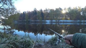 Ловится - ли ОСЕННИЙ КАРАСЬ перед ЗАМОРОЗКАМИ в ПОДМОСКОВЬЕ? Два замечательных УТРА на РЫБАЛКЕ!