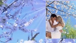 исп.ВАЛЕРИЙ ЗАВЕДЯЕВ. ЧЕРЕМУХА