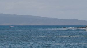 4K Maui Island - 3 HOUR Tropical Island Relaxation Video - Part 2
