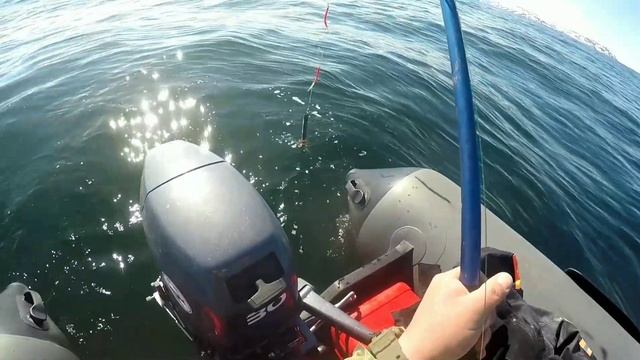 БАРЕНЦЕВО МОРЕ. ТРЕСКОВАЯ РЫБАЛКА у о. Малый Олений."Barents sea."
