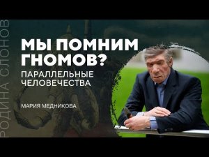 Параллельные человечества. Мария Медникова. Родина слонов № 3.