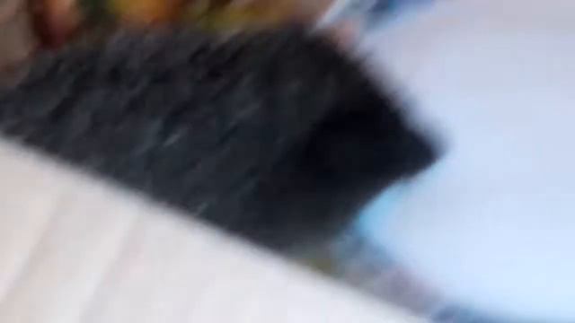 Ёжик пьет молоко в описание написано где ми ево нашли смотреть онлайн