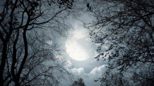 Анна Ахматова: "ПОЭМА БЕЗ ГЕРОЯ". Читает — Елена Артёменко. Запись: декабрь, 2018 года.