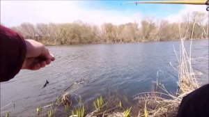 Рыбалка на реке в икромет .