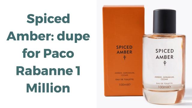 The Marks  Spencer Perfume Dupes 2024