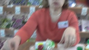 ДФ. Глоксинии, выращивание из семян.