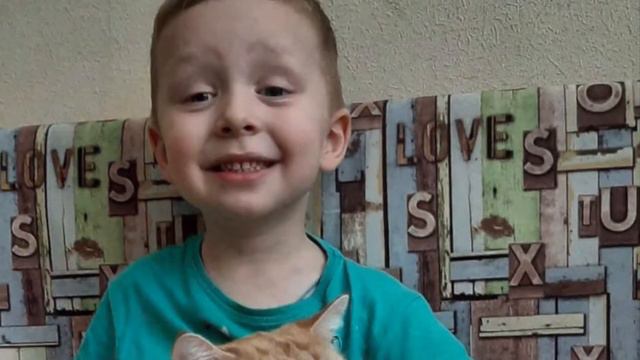 Мы в ответе за тех, кого приручили смотреть онлайн