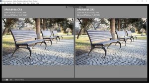 Comparing Canon RF 50 f1.8 vs EF 50 f1.4