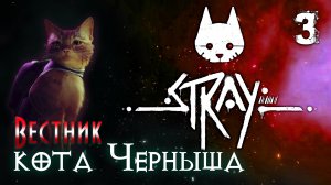 Stray/Стрим "Вестник кота Черныша" ?